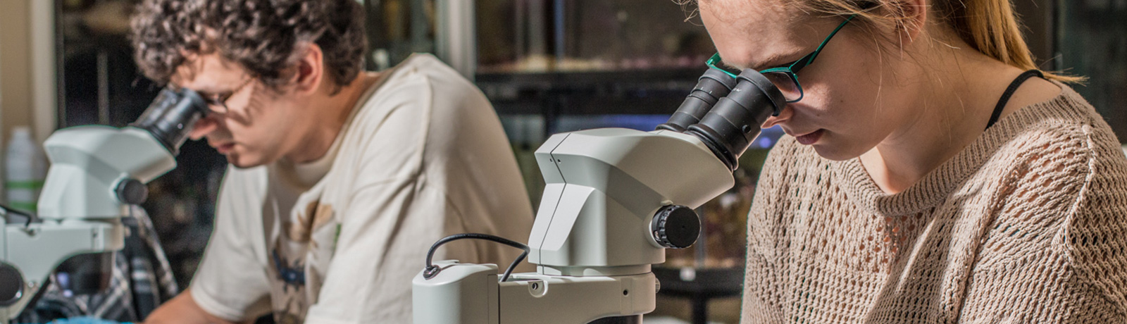 Students looking at microscopes