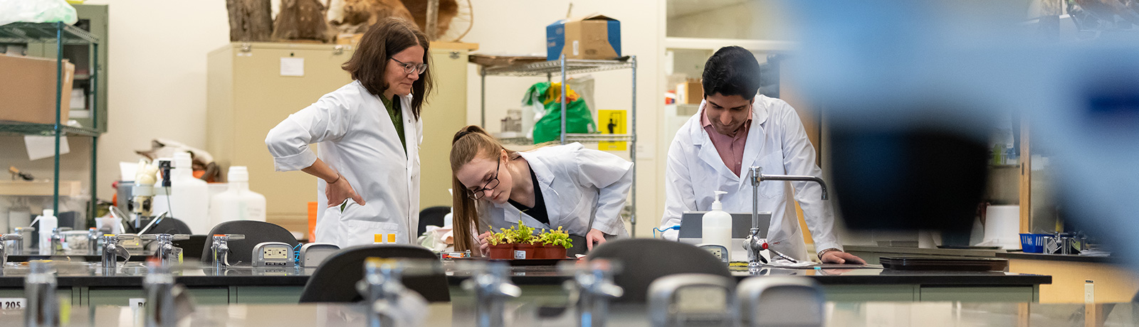 teaching watching over students working in lab