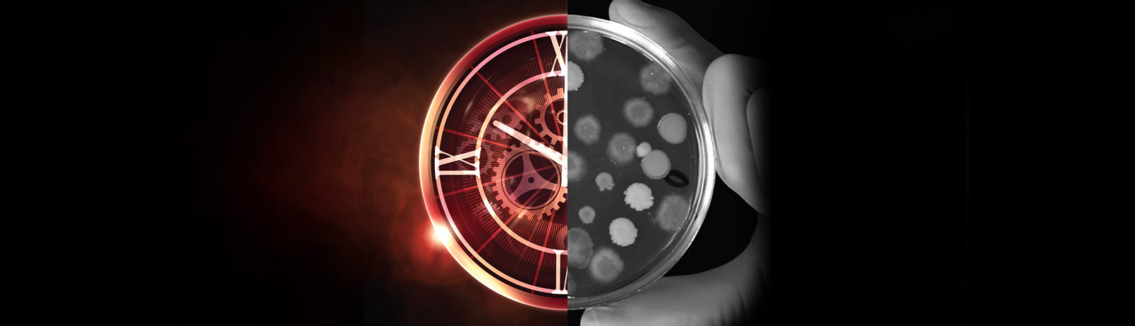 clock and petri dish