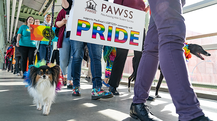 PAWSS dog and people in Pride March.