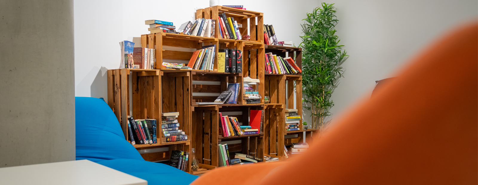 Little Library bookshelf in Allard Hall