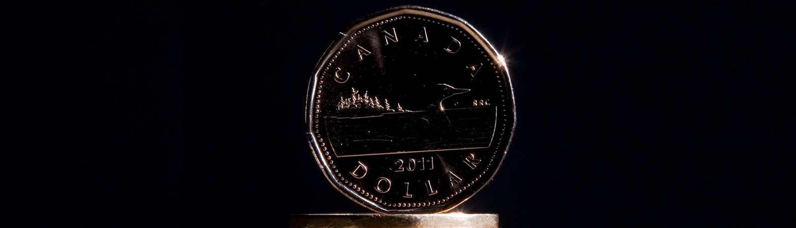 Close-up photo of a loonie against a black background