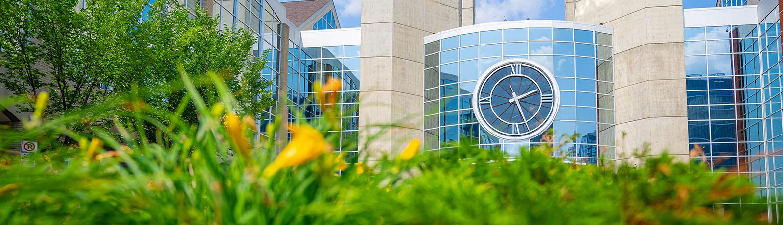 A summer photo of campus facing the clock tower with yellow daylilies in the foreground