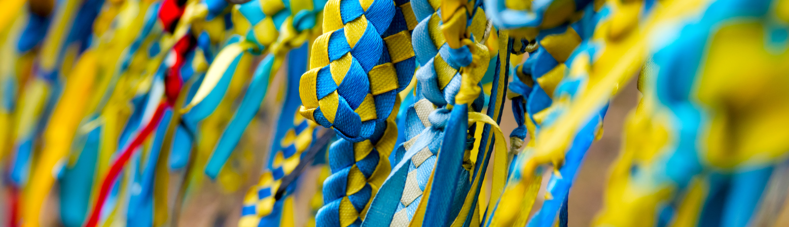 braided cords in yellow and blue