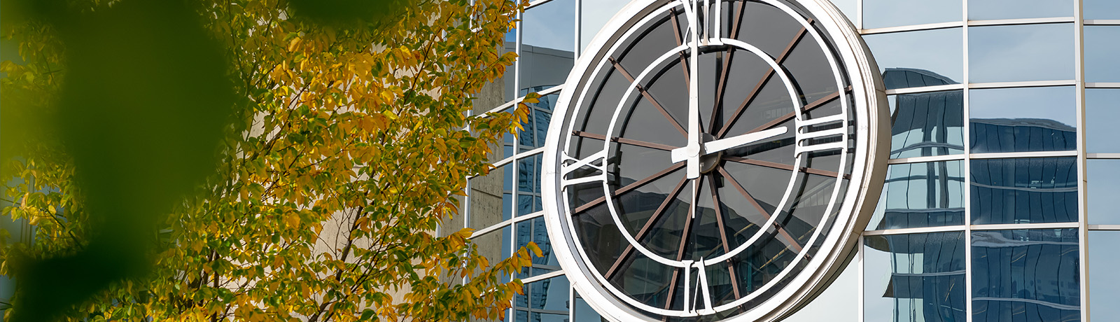 A photo of the clock tower with fall leaves in the foreground