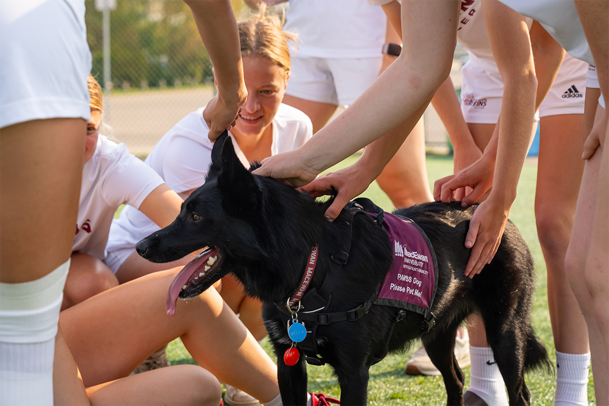 Soccer players circle around a black dog wearing a PAWSS vest.