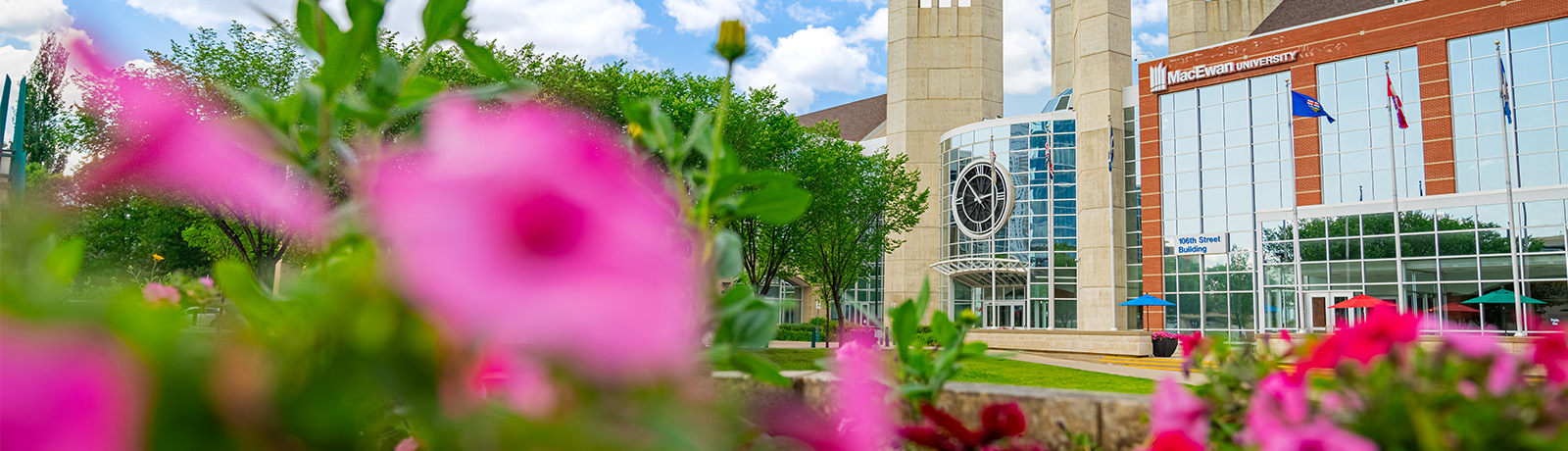 MacEwan's main entrance with pink petunias in the foreground