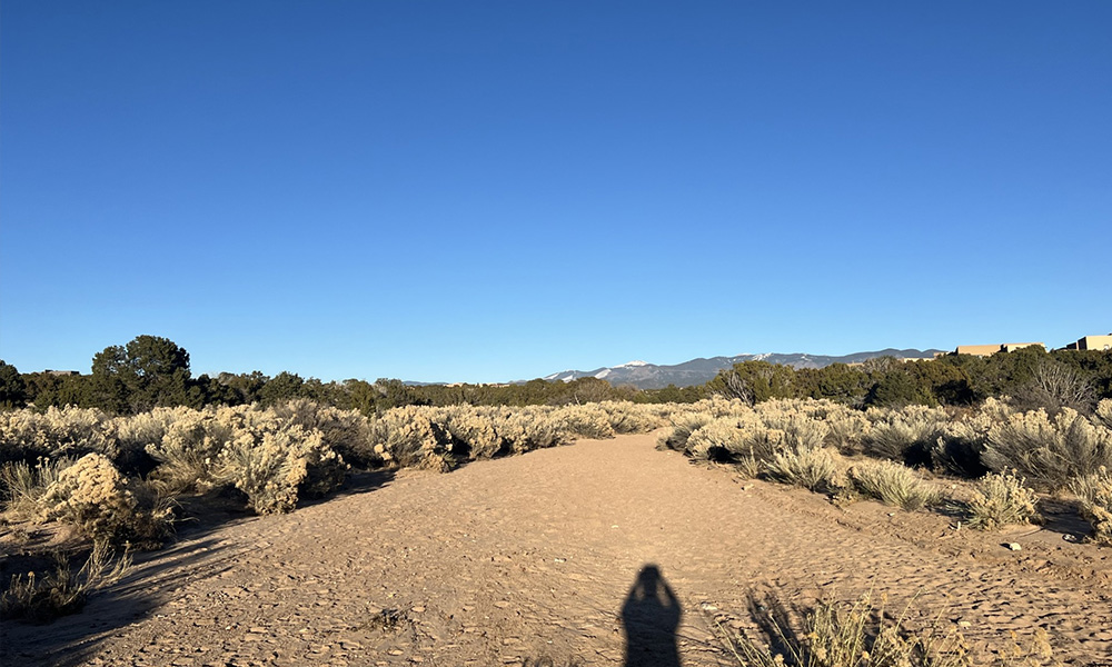 A desert landscape with a pathway extending into the distance