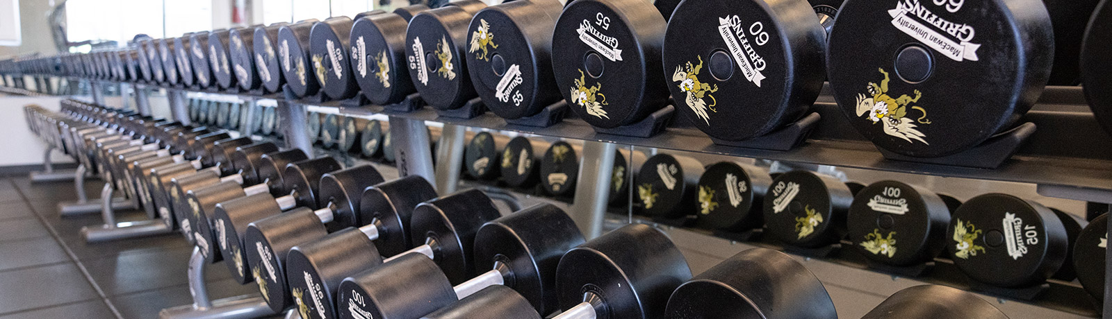 weight rack in MacEwan fitness centre