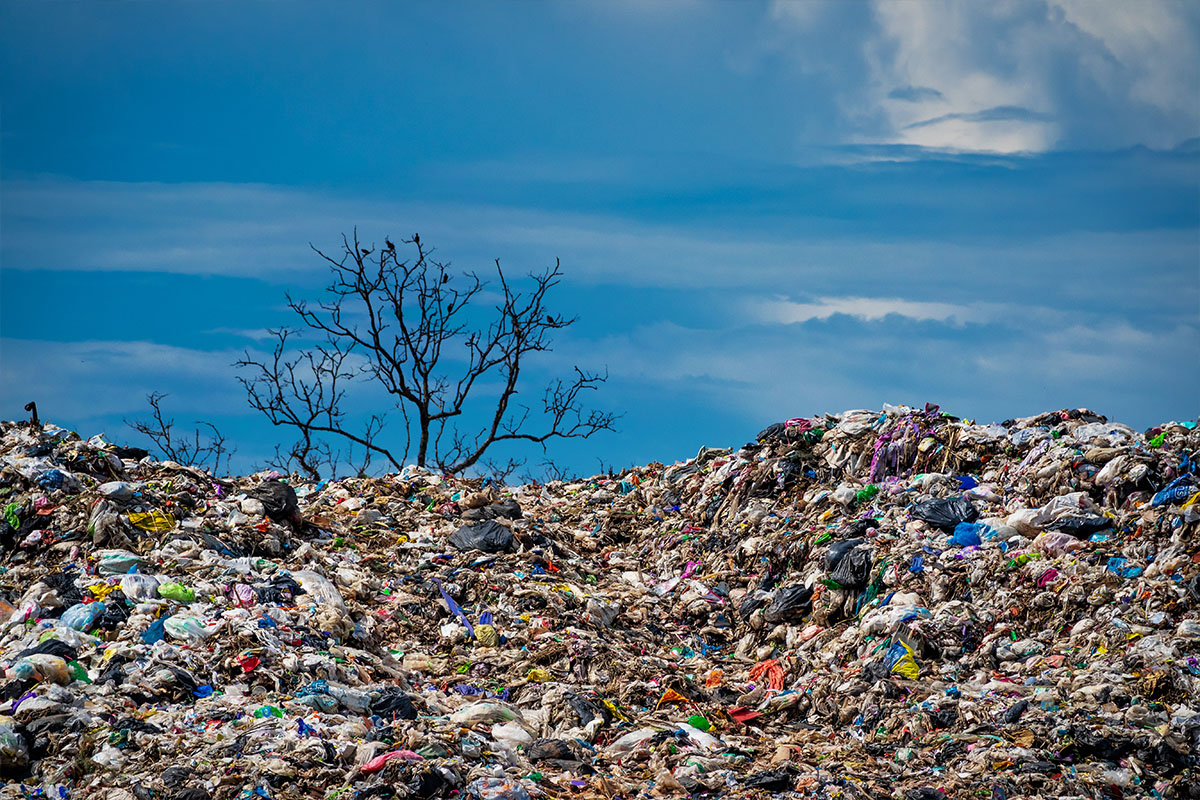 a landfill